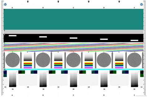 Scanning and copying | HP® Support
