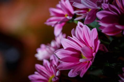 Reichard Funeral Home | Union City, IN