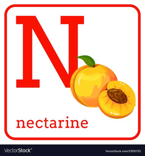 Fruits And Vegetables Letter N at Wanda Devine blog