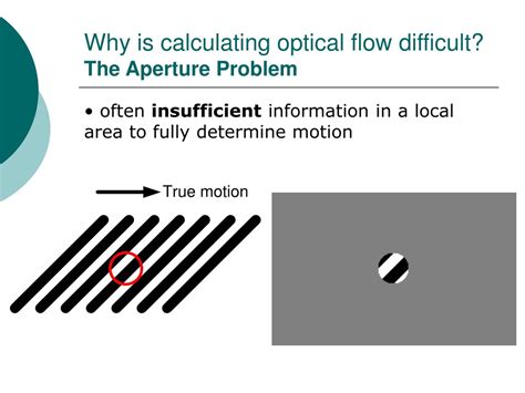 Optical Flow Analysis 的图像结果