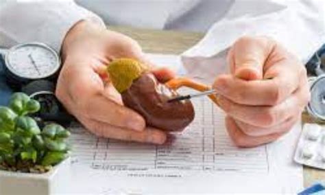 Pregnancy in kidney transplant recipients tied to Postpartum Creatinine ...