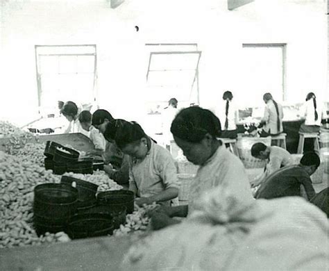 老照片：1939年山东淄博张店丝厂