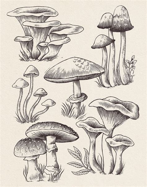 easy drawing ideas mushroom