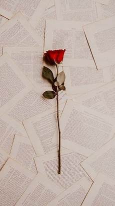 Iphone 7 Aesthetic Wallpaper by Authentic Iphone 7 Wallpaper Tecnologist Iphone 7 Aesthetic Wallpaper