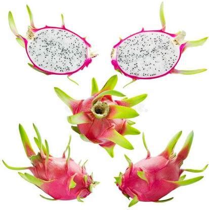 Oliver hybrid dragon fruit Seed Price in India - Buy Oliver hybrid ...
