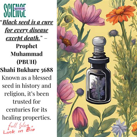 Black Seed Oil for Health: The Ultimate Guide to Benefits, Uses, and Precautions - sciencequick