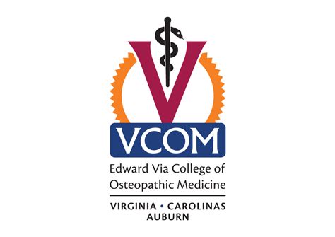Image result for Vcom Website