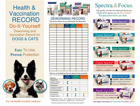 Free Printable Dog Vaccination Record Template: Keep Your Pet's Health ...