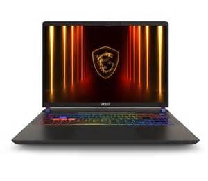 MSI Vector 16 HX A2XWHG-203NL: beste prijs - Tweakers