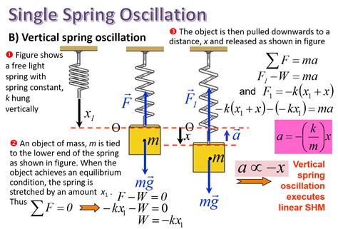 Image result for Simple Harmonic Motion Examples With