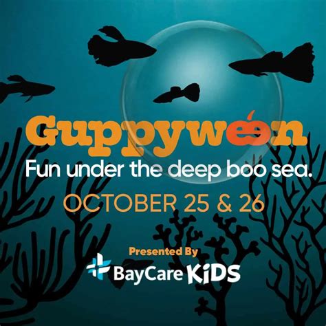 Sunset Rodeo, a new Nashville-inspired bar, opening soon in Tampa