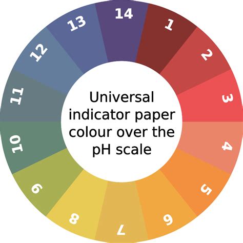 Indicator Types 的图像结果