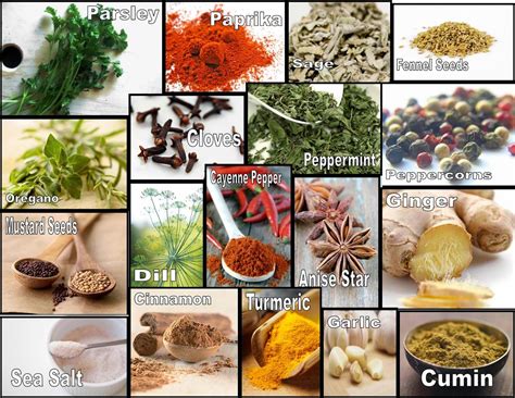 Culinary Physics: List of Cooking Spices with Pictures