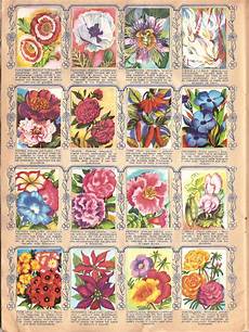 fiori di tutto il mondo fiori di tutto il mondo ed lo 1956 fiori di tutto il mondo fiori di tutto il mondo ed lo 1956