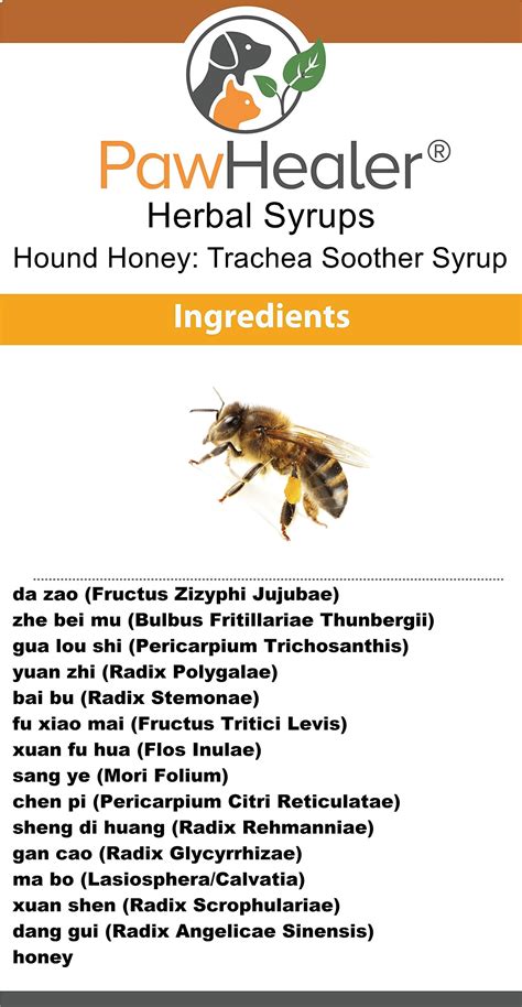 Herbs For Dogs With Collapsed Trachea at Samantha Atherton blog