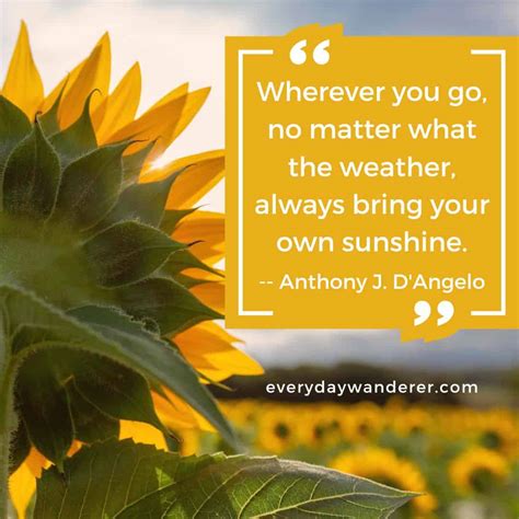 How Weather Quotes Can Brighten Your Next Social Media Post