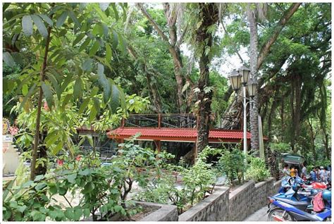 PASONANCA NATIONAL PARK (2025) All You Need to Know BEFORE You Go (with ...