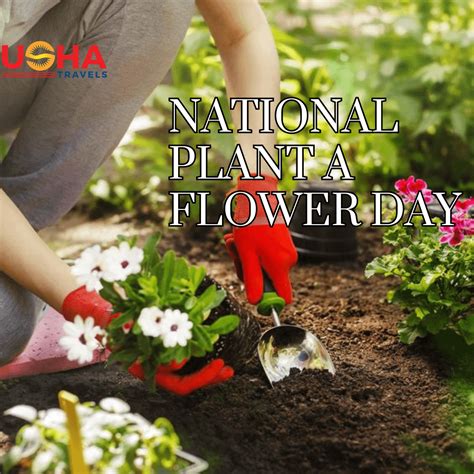 National Plant a Flower Day is celebrated on March 12th each year. It's ...