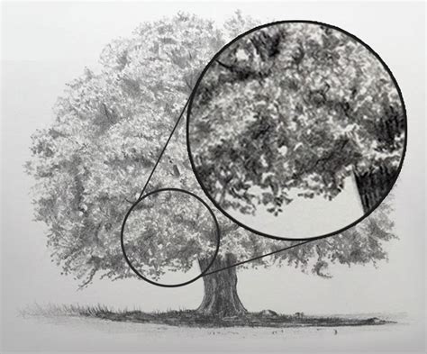 Image result for Tree Texture Drawing Contrast