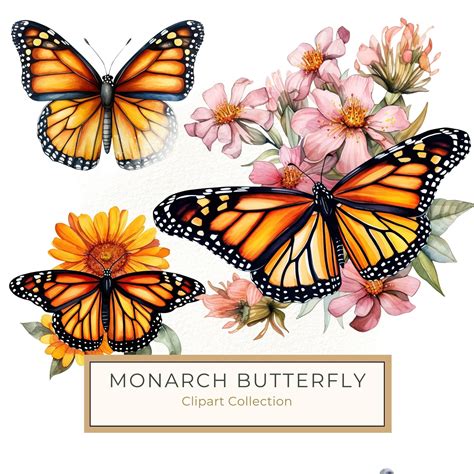 Clipart Monarcha Monarch Butterfly Silhouette | Butterfly Clipart SVG