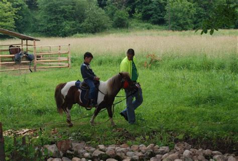 Etno restoran "Stara vodenica" | Sokobanja - 💚 Zeleno srce Srbije
