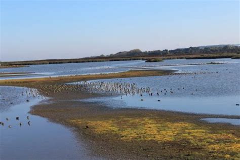 Where were the birds? - Reviews, Photos - RSPB Titchwell Marsh ...