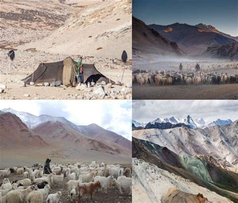 India-China Border: ड्रैगन के सामने बेखौफ डटे रहे हैं लद्दाख के चरवाहे ...