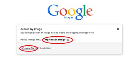 Using Google Image Search in Your Research | Are You My Cousin?