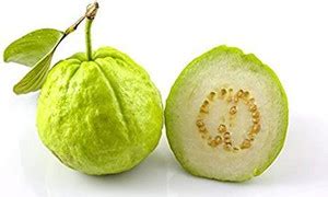 PlantQuipo Guava Plant Price in India - Buy PlantQuipo Guava Plant ...