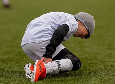 Tendon and Ligament Injuries - Two Legs and Four Holistic Health Tendon ...