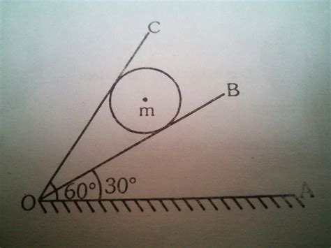 Normal Reaction 的图像结果