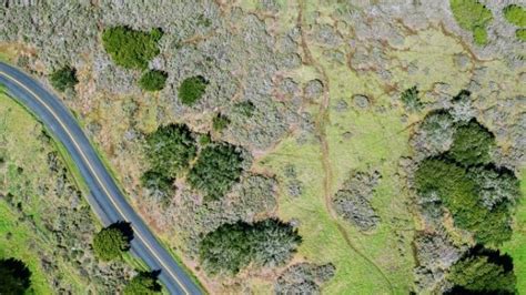 காஸ்ரா, கட்டவுனி எண் என்றால் என்ன?