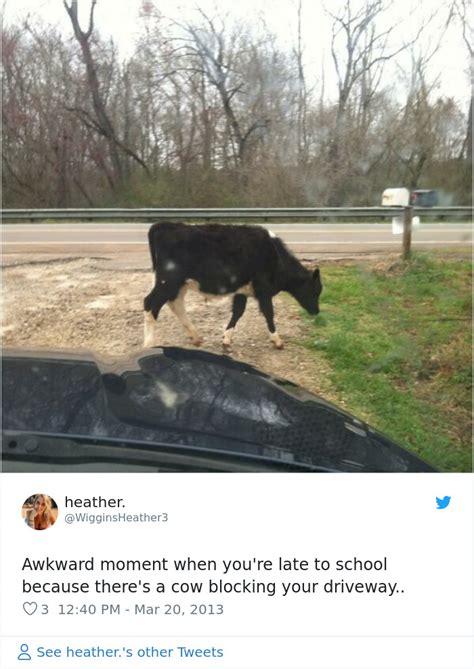 Hometown Local Memes 的图像结果