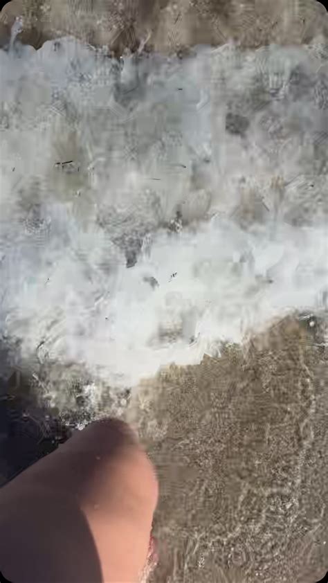 MISS DAZE (@missamericanhoneyy) • Instagram photos and videos