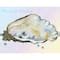 Diamond Dotz® Intermediate Pearls of Wisdom Diamond Painting Kit | Michaels