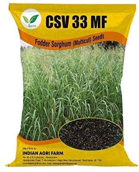IAgriFarm CSV 33 MF Fodder Sorghum Seed - 1 Kg - MultiCut For Fodder ...