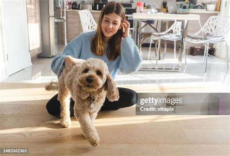 Image result for Cockapoo Girl