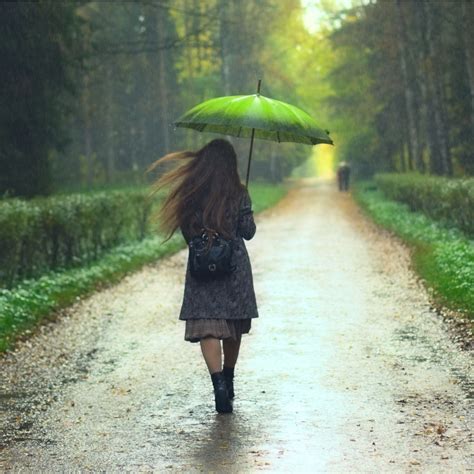 Incredible Compilation of 4K Rain Images: Over 999 Stunning Photos