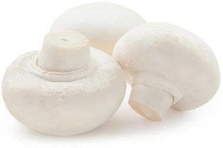 Fresh B Grade Button Mushroom Manufacturer, Supplier from Bhadrak