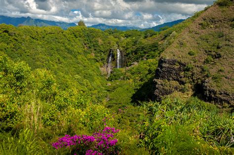 Opaekaa Falls, Kauai, Hawaii. Opaekaa Falls on Kauai is one of t ...