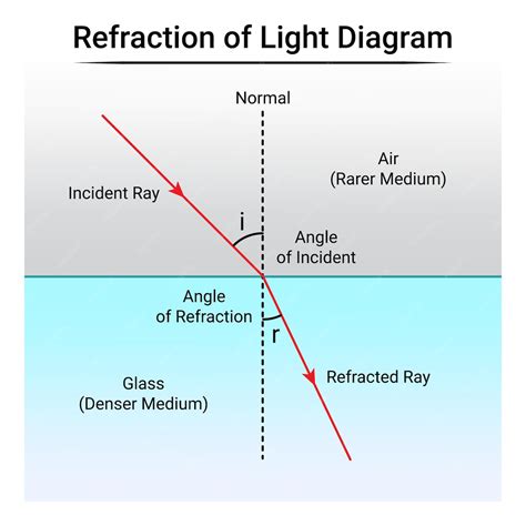 Premium Vector | Refraction of light diagram physics education science ...