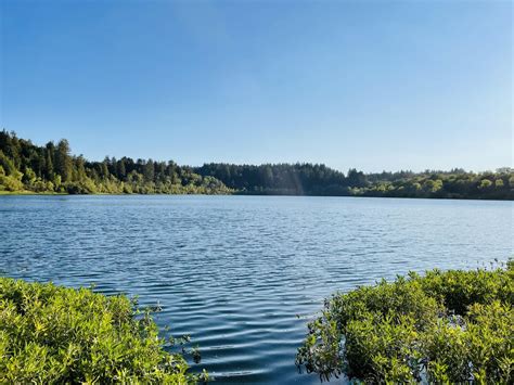 Songs for Water ((a zoom series to sing and honor water)), May 11 2023 ...