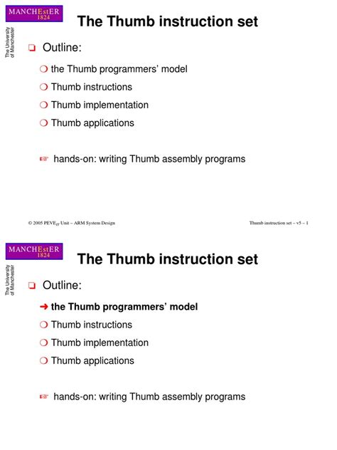 Image result for Thum Programmer Model