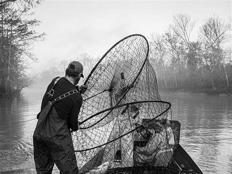 Image result for How to Set a Hoop Net for Fish