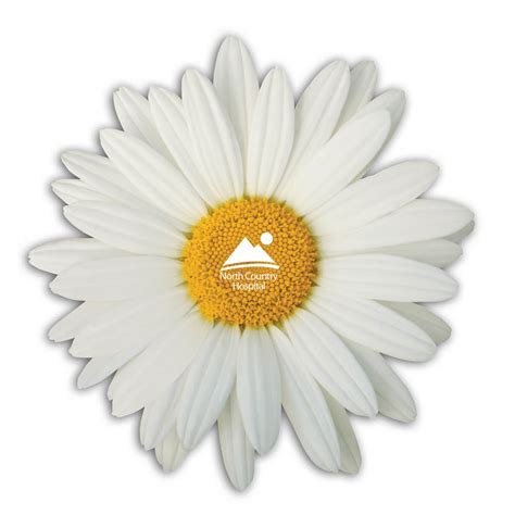 Daisy Award Nomination Form - North Country Hospital