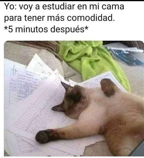 Pin de Cindy Paola en MM en 2024 | Memes divertidos, Humor divertido ...