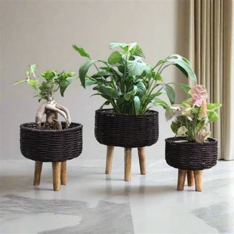 Planters – Ikkasa