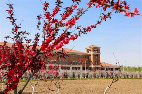 天津中德应用技术大学2021高考录取分数线（2022预估）-新高考网