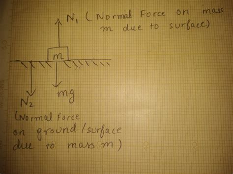 Normal Reaction 的图像结果