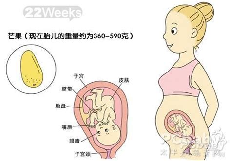 孕22周胎儿晚上在肚子里一直连续踢就是缺氧吗？_家庭医生在线